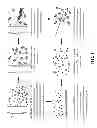 Fig. 02 - MAGNETIC APPARATUS AND METHODS OF USE