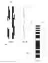Fig. 04 - Medical injection device with large, mechanical cipher dose display
