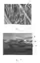 Fig. 09 - Web Material(s) For Absorbent Articles