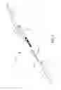 Fig. 02 - LIMB LENGTHENING APPARATUS AND METHODS