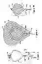 Fig. 05 - Retrieval device