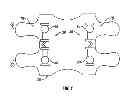Fig. 02 - Dynamic spine stabilizers