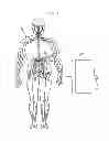 Fig. 02 - Methods and compositions for treating a renal associated condition in a subject