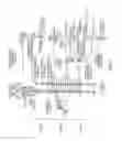 Fig. 02 - ELECTRICAL STIMULATION OF THE SYMPATHETIC NERVE CHAIN