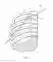 Fig. 05 - ELECTRICAL STIMULATION OF THE SYMPATHETIC NERVE CHAIN