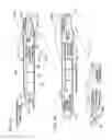 Fig. 02 - Method and apparatus for optical stimulation of nerves and other animal tissue