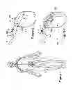 Fig. 02 - Connector assemblies for implantable medical electrical systems