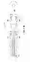 Fig. 05 - Connector assemblies for implantable medical electrical systems