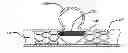 Fig. 01 - METHODS AND DEVICES FOR TREATMENT OF VASCULAR DEFECTS