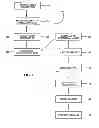 Fig. 02 - Placental tissue grafts modified with a cross-linking agent and methods of making and using the same