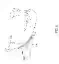 Fig. 07 - Porous, Stabilized Craniomaxillofacial Implants and Methods and Kits Relating Thereto