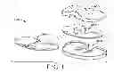 Fig. 02 - Provisional tibial prosthesis system