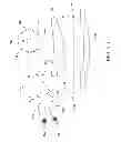 Fig. 08 - Apparatus and method for forming three-dimensional objects using linear solidification
