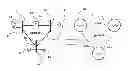 Fig. 01 - Method for globally optimizing power flows in electric networks