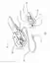Fig. 05 - WARNING SYSTEM FOR DETECTING INFANT SEAT BUCKLE SECUREMENT