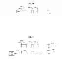 Fig. 06 - METHODS AND STRUCTURE FOR ANALYZING DIFFERENT SIGNALING PATHWAYS THROUGH A TEST SIGNAL SELECTION HIERARCHY