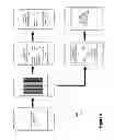 Fig. 07 - READABLE INDICIA FOR INSURANCE PAYMENT