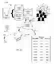 Fig. 05 - METHOD FOR MODELING BEHAVIOR AND HEALTH CHANGES
