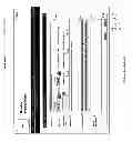 Fig. 29 - PHILANTHROPY MANAGEMENT AND METRICS SYSTEM