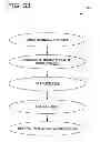 Fig. 35 - PHILANTHROPY MANAGEMENT AND METRICS SYSTEM