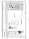 Fig. 30 - ONLINE REWARD POINT EXCHANGE METHOD AND SYSTEM WITH AUTOMATIC REWARD REDEMPTION SOLUTIONS