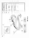 Fig. 18 - Apparatus, article of manufacture and methods for customized design of a jewelry item