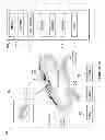Fig. 19 - Apparatus, article of manufacture and methods for customized design of a jewelry item