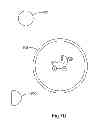 Fig. 12 - FINANCIAL TRANSACTION GIFT REGISTRY SYSTEM AND METHODS