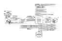 Fig. 01 - MERCHANT ELECTRONIC CHECK PAYMENTS