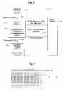 Fig. 06 - Transfer account systems, computer program products, and associated computer-implemented methods