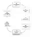 Fig. 01 - Closed-Loop Recycling Process