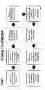 Fig. 02 - System and method for intellectual property management