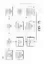 Fig. 12 - Sponsor Assignment