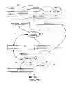 Fig. 03 - Propagating information among web pages