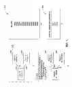 Fig. 04 - Custom object-in-memory format in data grid network appliance