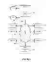 Fig. 02 - Dynamically-sorted contact information