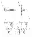 Fig. 04 - Custom object-in-memory format in data grid network appliance