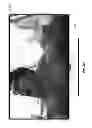Fig. 27 - SYSTEMS AND METHODS FOR PROVIDING SOCIAL MEDIA WITH AN INTELLIGENT TELEVISION