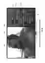 Fig. 31 - SYSTEMS AND METHODS FOR PROVIDING SOCIAL MEDIA WITH AN INTELLIGENT TELEVISION