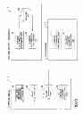 Fig. 16 - Information processing apparatus, electronic meeting system, and program