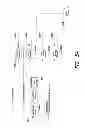 Fig. 04 - Ordered processing of groups of messages