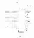 Fig. 03 - Domain state
