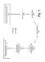 Fig. 06 - Providing extended memory semantics with atomic memory operations
