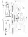 Fig. 02 - Secure network systems and methods