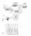 Fig. 06 - Methods and systems for registering a packet-based address for a mobile device using a fully-qualified domain name (FQDN) for the device in a mobile communication network