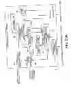 Fig. 50 - Information operating device, information output device, and information processing method