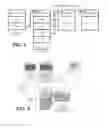 Fig. 05 - Computing platform with interface based error injection