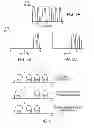 Fig. 05 - Interference-aware assignment of programming levels in analog memory cells
