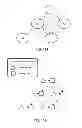 Fig. 15 - PRE-PROCESSING OF SCRIPTS IN WEB BROWSERS