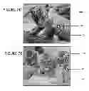 Fig. 09 - Method and Apparatus for Sequentially Displaying a Plurality of Images Including Selective Asynchronous Matching of a Subset of the Images